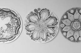 La main qui dessinait toute seule